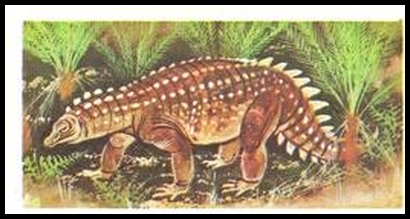 18 Scelidosaurus